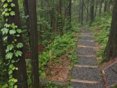 -莫干山风景区