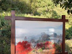 -塔川景区