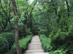 -观象山公园