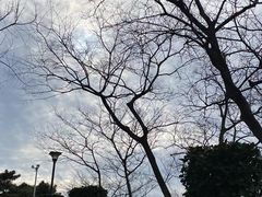 -海惠年代咖啡