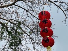 -悦城龙母祖庙