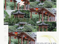 -广州神农草堂中医药博物馆