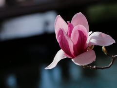 -三里河公园