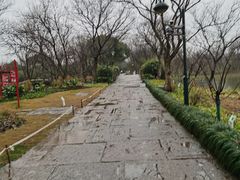 -西溪国家湿地公园