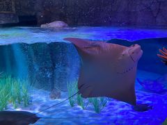 -沈阳海洋探索中心