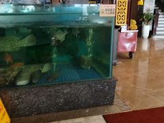-聚福宝合苑食府(南头镇店)