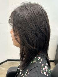 -蚂蚁造型俱乐部