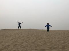 -东郊湿地公园