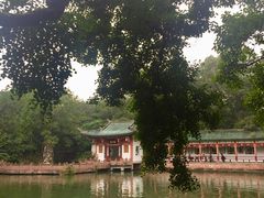 -房湖公园