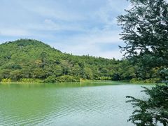 -广州白江湖森林公园