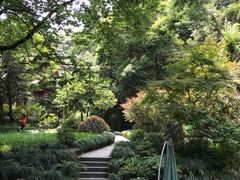 -十八棵（老龙井）御茶园(老龙井店)