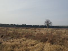 -汉景帝阳陵博物院