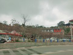 -玫瑰庄园·自助烧烤·烤全羊·团建拓展(龙泉山店)
