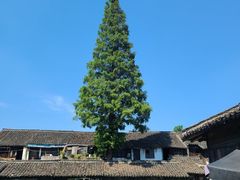 -乌镇东栅景区