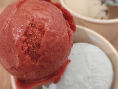 冰蓝海盐牛乳-LUNEURS月乐诗 冰淇淋咖啡(环贸店)