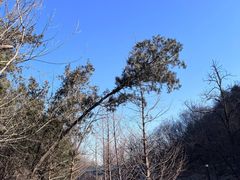 -白水寺森林公园