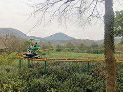 -杭州少年儿童公园