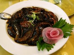 葱烧海参-泰丰楼(前门西大街店)