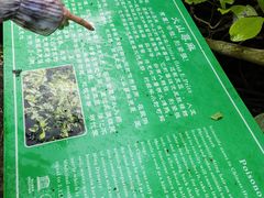 -海口火山口国家地质公园