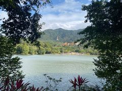 -深圳仙湖植物园
