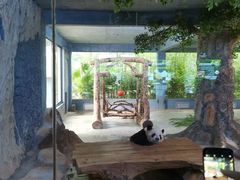 -海南热带野生动植物园