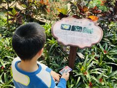 -南山植物园