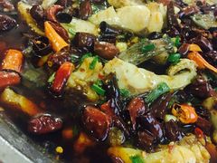 -温江公平红烧兔(总店)