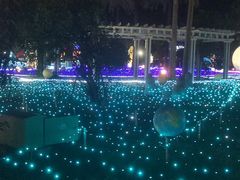 -东南花都花博园