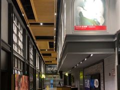 -万达影城(金平万达广场IMAX店)