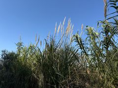 -东钱湖旅游度假区