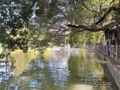 -小洲村