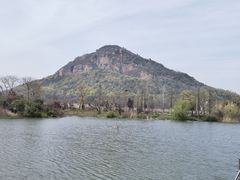 -桃花岛景观公园