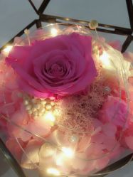 -久美荟·J Baby face