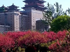 -莲花池公园