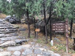 -阳台山自然风景区