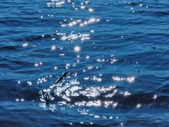 -西昌邛海湿地