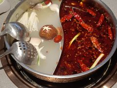 -菌自在·云南野生菌火锅(长安万达店)