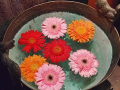 -花马天堂云南餐厅 Lost Heaven(外滩店)