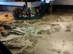 -自贡恐龙博物馆