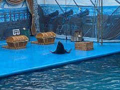 -海合安青岛极地海洋公园