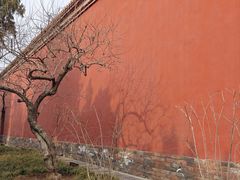 -北京市劳动人民文化宫(太庙)