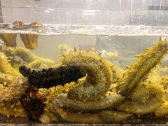 -甄御•海鲜新青岛菜(麦岛店)