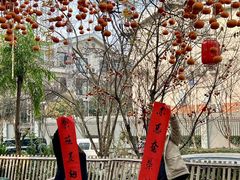 -田园印象·成都土菜院子(华阳店)