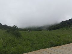 -白草畔自然风景区