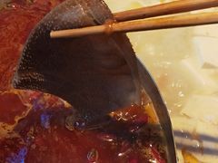 -季季红火锅(动壹店)