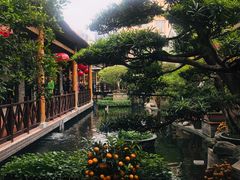 -猪肉婆私房菜(容桂总店)