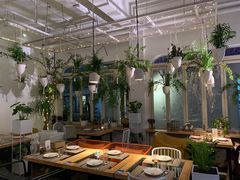 大堂-春树下·树屋花房西餐厅(罍街AS1980店)