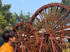 -品德宏·孔雀宴的发源地(金塔园店)
