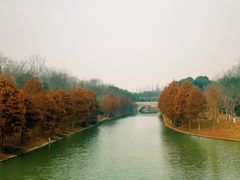 -上海海湾国家森林公园