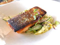 Fish&nbsp;of&nbsp;the&nbsp;day-Takapuna Beach Cafe